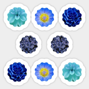 Mixed Blue Flowers Photo Set Pack Sticker